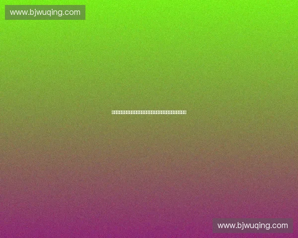 携手共创未来城市体育盛会申办陈述愿景与行动纲领全球合作新篇章